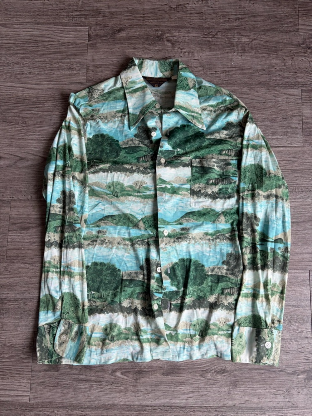 Sears Men's Green Scenic Print Button-Up shirt